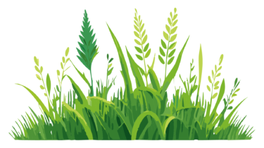 なるわん座限定！全て！無料！商用利用可！無料販促イラスト素材・草・その９・無料ダウンロードはこちらから！