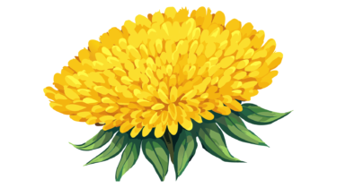 なるわん座限定！全て！無料！商用利用可！無料販促イラスト素材・たんぽぽ(タンポポ・蒲公英・花)・その６・無料ダウンロードはこちらから！