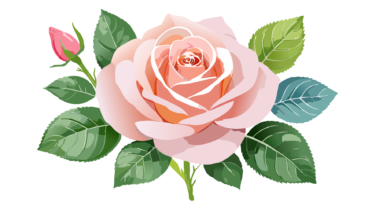 なるわん座限定！全て！無料！商用利用可！無料販促イラスト素材・バラ(薔薇・ばら・花)・その１３・無料ダウンロードはこちらから！