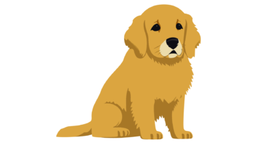 すべて無料！商用利用可！無料販促イラスト素材・ゴールデンレトリバー・その１６・無料ダウンロードはこちらから！