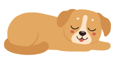 なるわん座限定！全て！無料！商用利用可！販促イラスト素材・お昼寝する犬（イヌ・いぬ）・その８・無料ダウンロードはこちらから！