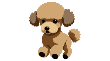 すべて無料！商用利用可！無料販促イラスト素材・トイプードル(犬)・その１・無料ダウンロードはこちらから！