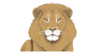 すべて無料！商用利用可！無料販促イラスト素材・ライオン図鑑(らいおん・獅子)・その８・無料ダウンロードはこちらから！