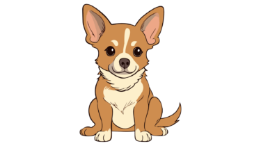 なるわん座限定！全て！無料！商用利用可！販促イラスト素材・チワワ犬のイラスト（いぬ・イヌ）・その１０・無料ダウンロードはこちらから！