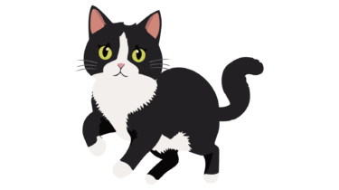 すべて無料！商用利用可！無料販促イラスト素材・白黒の猫・その１・無料ダウンロードはこちらから！