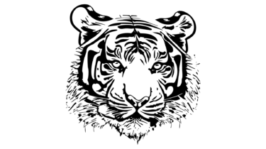 なるわん座限定！全て！無料！商用利用可！販促イラスト素材・虎の顔（パート２）その５・無料ダウンロードはこちらから！