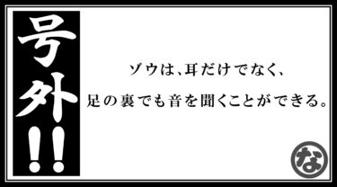 号外！号外です！象さんの知られざる能力！
