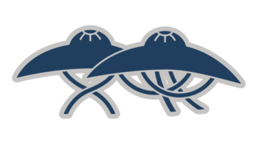 すべて無料！商用利用可！筒描調家紋素材・柳生笠・無料ダウンロードはこちらから！