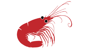 すべて無料！商用利用可！無料販促イラスト素材・赤い海老・その６・無料ダウンロードはこちらから！