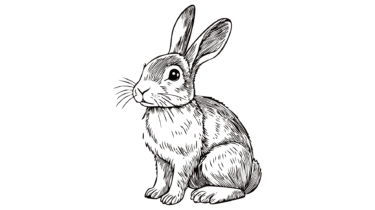 なるわん座限定！全て！無料！商用利用可！販促イラスト素材・兎(うさぎ)のアンティーク風手描き線画・その３・無料ダウンロードはこちらから！