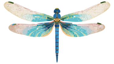 なるわん座限定！全て！無料！商用利用可！無料販促イラスト素材・とんぼ(蜻蛉・トンボ)・その１・無料ダウンロードはこちらから！