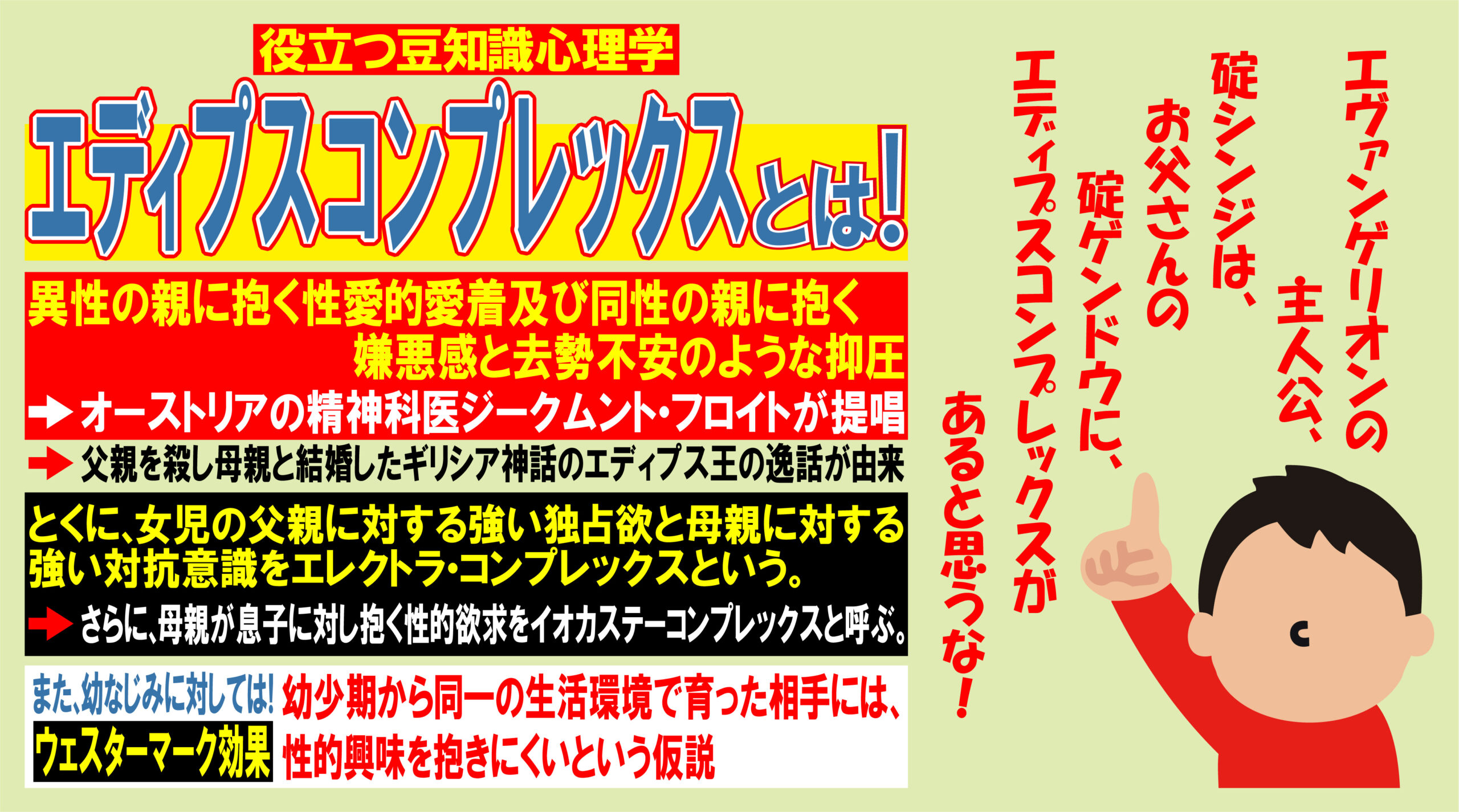 クマコンプレックスの全体的な利点は何ですか?