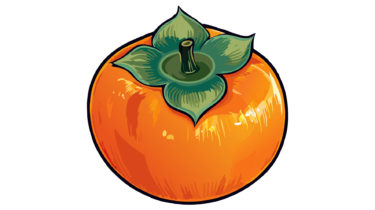 なるわん座限定！全て！無料！商用利用可！無料販促イラスト素材・柿(かき・果物)・その２・無料ダウンロードはこちらから！