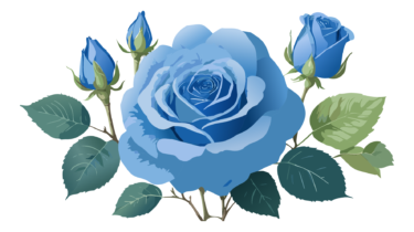 なるわん座限定！全て！無料！商用利用可！無料販促イラスト素材・バラ(薔薇・ばら・花)・その２３・無料ダウンロードはこちらから！
