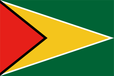 なるわん座限定！全て！無料！商用利用可！販促イラスト素材・世界の国旗 (ガイアナ協同共和国)・無料ダウンロードはこちらから！